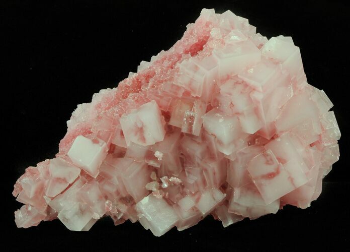 Pink Halite Crystal Plate - Trona, California #61054